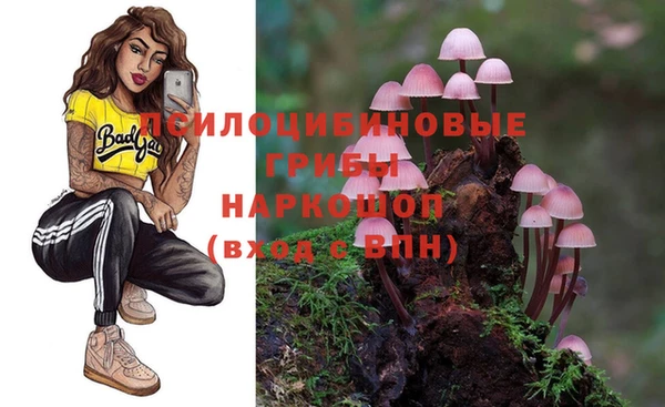 таблы Алексин
