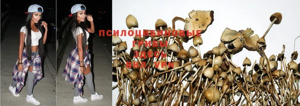 таблы Алексин